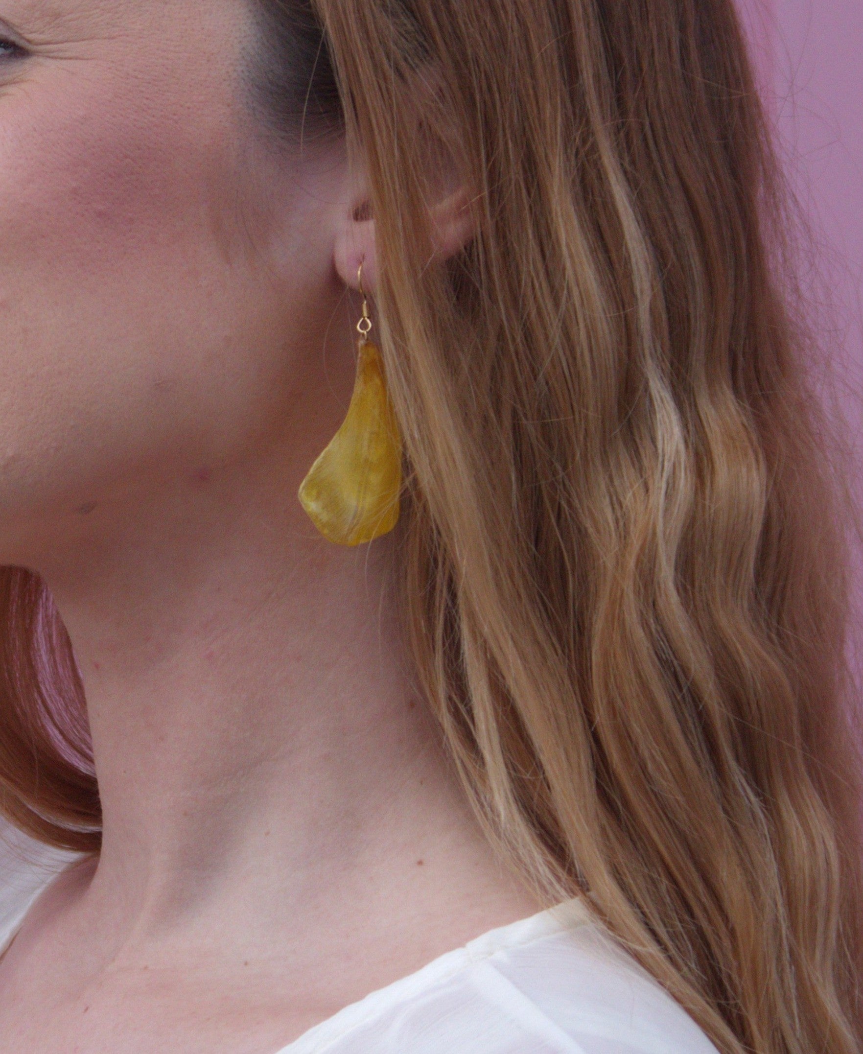 Tulipán Amarillo