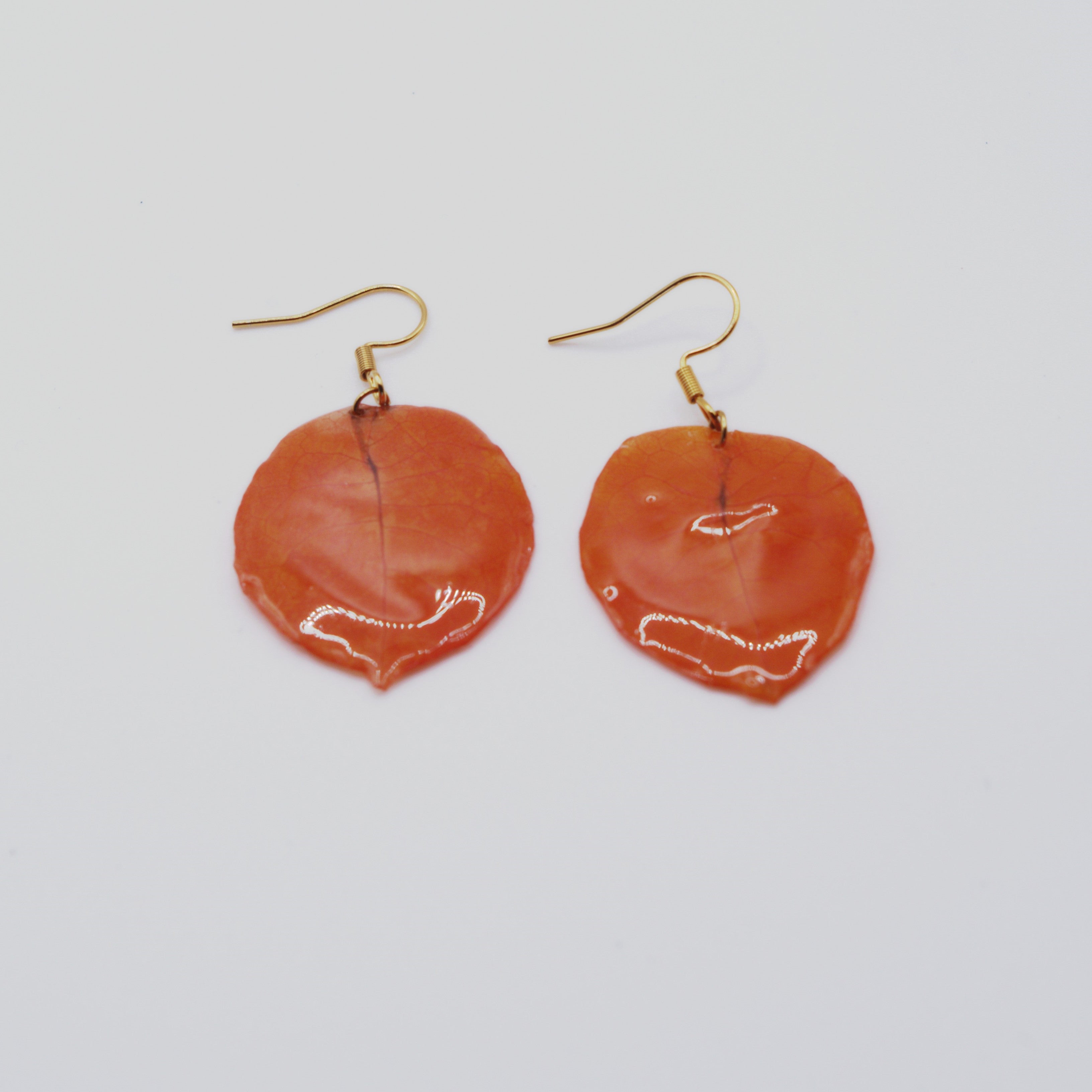 Buganvilla Naranja