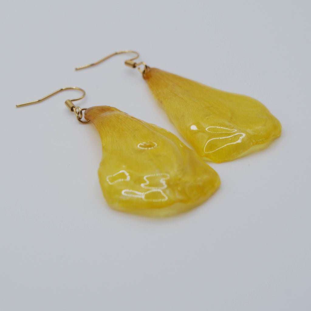 Tulipán Amarillo